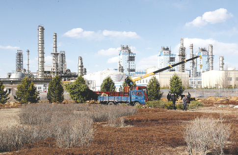 电子游戏平台展示